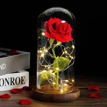 Lepota In Zver Rose Rose V LED, Steklena Kupola Vedno Vrtnico Rdečo Vrtnico, Valentinovo, materinski Dan Posebno Romantično Darilo