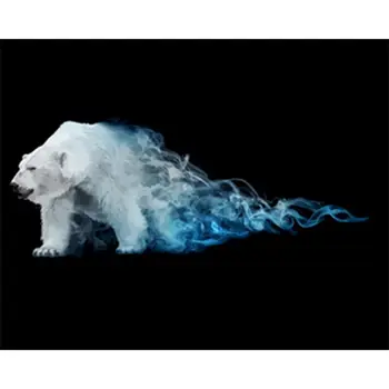 Polarni Medved Barve Z Številkami Živali 40x50cm Slike Olje, Barvanje Z Številkami Set Darilo Akril, Barvanje Z Številkami, določenih Za Umetnost